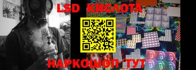 прущие грибы Прокопьевск
