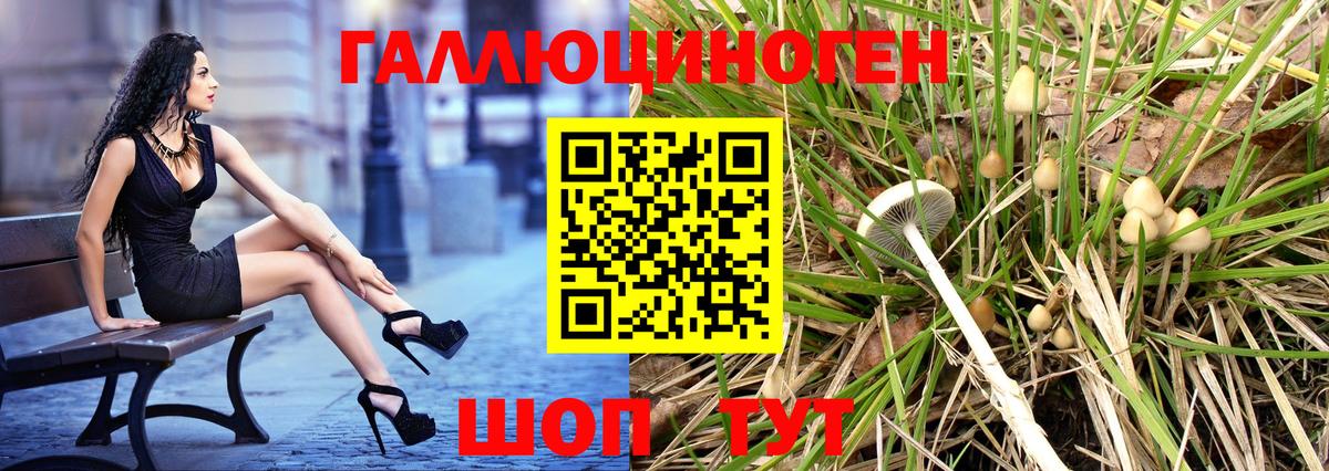 Галлюциногенные грибы Psilocybe  Вход с VPN  Воронеж 